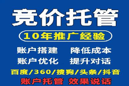SEM代运营机构案例分析：优化策略详解